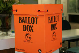 Sunlive Elections 2020 Where To Vote In Tauranga The Bay S News First