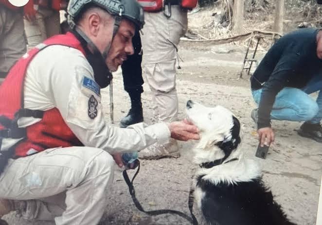 Este es Tsunami, el border collie que ha rescatado a decenas de personas en  Venezuela