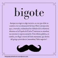 El Origen De Bigote Palabras Cultas Palabras Con Significado Palabras De Vocabulario