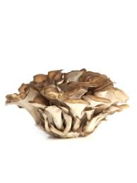 Fresh Hen Of The Woods Mushrooms Stuffed Mushrooms Wild Harvest Fresh