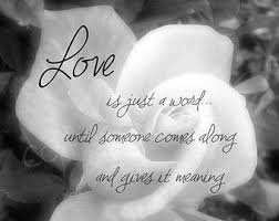 White Rose Quotes Quote Addicts Rose Love Quotes Love Quotes Flower Quotes