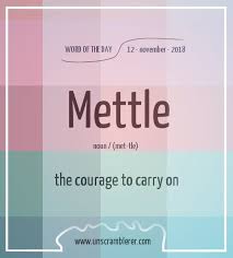 Mettle Interesting English Words Dictionary Words Learn English Words