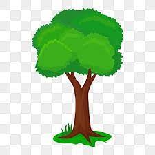 شجرة واحدة التوضيح الكرتون شجرة المرسومة Png شجرة طبيعة Png والمتجهات للتحميل مجانا In 2021 Leaf Illustration Cartoon Trees Tree Drawing