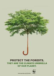 Deforestation And Forest Degradation Are Responsible For About 20 Of Global Emissions C Jose L Climate Change Art Climate Change Poster Environmental Posters