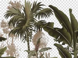 Green Banana Tree Yanoda Arecaceae Tropics Plant Hand Painted Tropical Palm Tree Transparent Background Png Clipart Hiclipart Alibaba.com offers 1,263 banana palm leaf products. green banana tree yanoda arecaceae