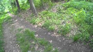 Learning how to metal detect is easy and won't take much of your time. Metal Detecting Diggs New Jersey Forest Exploration Youtube