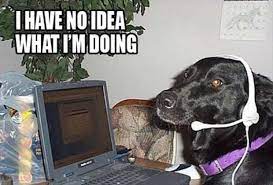 Actual Picture Of Me Every Time I Come Across A Syndicate Event R Pathofexile