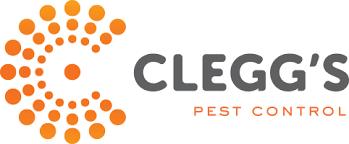In need of charlotte, nc pest control services? Clegg S Pest Control Review 2021 Edition Pest Strategies