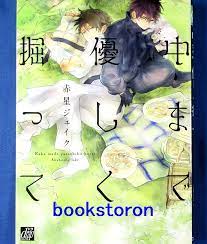 Naka made Yasashiku Hotte Comic - Jake Akahoshi / Japanese BL Manga Book  Japan | eBay