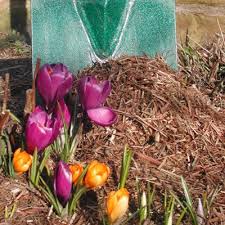 We did not find results for: Strulch Garden Mulch Strulchmulch Twitter