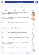 To complete the worksheet, students should look at the body parts picture and then circle the correct spelling of the word. Human Body 1st Grade Science Louisiana Academic Standards