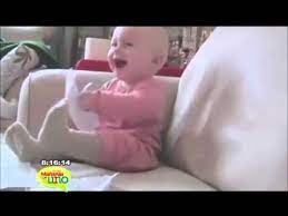 Las Risas De Bebes Mas Contagiosas En Internet Youtube