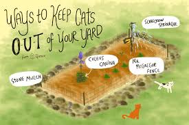 Ways To Keep Cats Out Of Your Yard Or Garden Cat Repellant Outdoor Cat Repellant Keep Cats Away