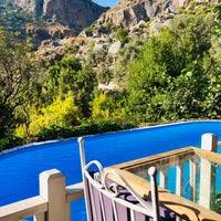Pure life villararı kuruluş amacı ,doğada özgürce kendi evinde gibi tatil yapmak isteyenleri hedeflemektedir. Pure Life Organic Villa Faralya