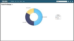 Create A Pie Chart Report