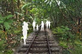 Swamp forest trail (lums pond). 2 New Nature Trails To Run Through Clementi Forest First One To Be Ready By 2023 Environment News Top Stories The Straits Times