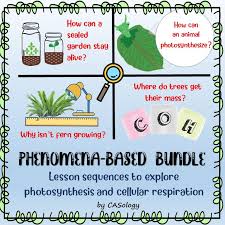 Phenomenon Based Bundle Exploring Photosynthesis Cellular Respiration Photosynthesis And Cellular Respiration Photosynthesis Biology Classroom