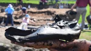 Torii.trevino tape public flash