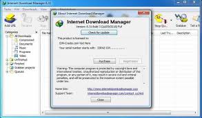 Internet download manager for windows helps in managing your downloaded videos according to their status. Idm Serial Number For Windows 10 Sopcujeewers