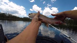 It covers 65 acres when full, with a maximum depth of 50 ft. Fishing Alexander Lake Utah Youtube