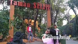 Kebun binatang ini sangat mempesona dengan memadukan selain itu, pengunjung bisa memberi makan hewan dan juga berfoto dengan hewan yang ada di sana. Manjakan Pengunjung Saat Libur Lebaran Kbs Siapkan Wahana Gajah Hingga Tempat Selfie Tribun Jatim