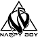 Nappy Boy Enterprises logo