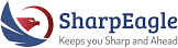SharpEagle: Security and surveillance camera system providers