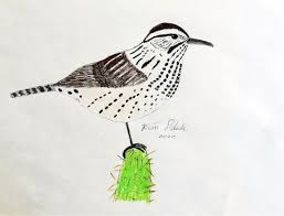 Cholla is a term applied to various shrubby cacti with segmented branches. Young Birders Charismatic And Clever The Cactus Wren Campylorhynchus Brunneicapillus Los Angeles Audubon Society