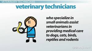 Veterinary assistant job description for resume is a set of working responsibilities abridges the fundamental obligations, exercises, capabilities and aptitudes for a job. Veterinary Technician Small Animals Career Overview