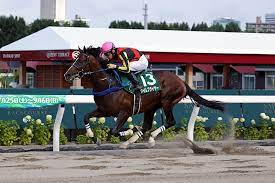 Check spelling or type a new query. 2020å¹´ ã‚¨ãƒ«ãƒ ã‚¹ãƒ†ãƒ¼ã‚¯ã‚¹ Jra