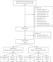 A statistically significant variable used to create the efi was the least function score. Modified Endometriosis Fertility Index Is More Accurate To Predict The Non Art Pregnancy Rate Following Surgery A Cohort Of Chinese Women Springerlink