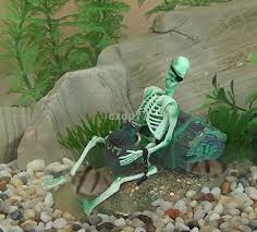 Check spelling or type a new query. Action Air Skeleton W Rum Aquarium Ornament Fish Tank Decoration 0 85 Great Gif Fish Tank Decorations Fish Aquarium Decorations Aquarium Ornaments
