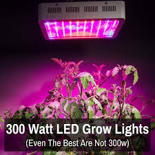 Maybe you would like to learn more about one of these? 300 Watt Led Grow Lights Even The Best Are Not 300w