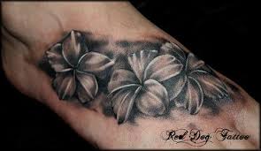 We did not find results for: Black And White Frangipanis Flower On Foot