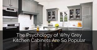 Downers Grove Home Remodeling Grey Kitchen Cabinets Grey Kitchen Old Kitchen Cabinets