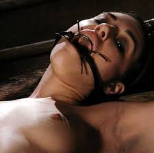 Congratulations, you've found what you are looking kinky sasha grey spreads her legs ? Blindfolded Bdsm Redux
