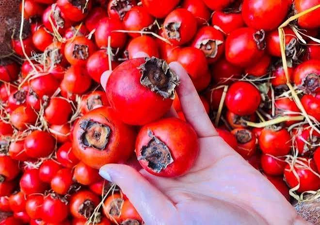 Quả hồng đang vào mùa: Có thể mang lại lợi ích cho 3 bệnh mạn tính này,  nhưng không phải ai cũng nên ăn