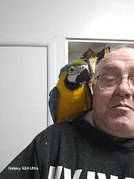 Hi, In 1955 my Great Uncle, Hugh Whitlock, lived at 472 Petrolia St W, but  in Petrolia today, the house numbers are all in the 4,000's. So there is a  4072 Petrolia