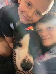 HELP! I am not looking for judgment, I just need to know if this has  happened to anyone else 😅 our one year old pitbull keeps having EXPLOSIVE  diarrhea ONLY at night.