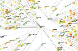 Image result for Science Math Applications Mathematical Biology Events