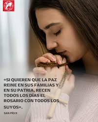 🇪🇨 Bruno Vásquez🇪🇨 (@brvasquezp)