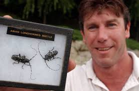 Beetle may be pinned to '97