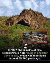 What if the first evidence of compassion did not come from modern humans at all, but from a vanished cousin who lived deep inside a mountain cave. In 1957, archaeologists working in
