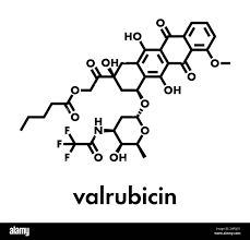 Image result for Valrubicin