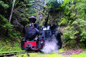 vampire legends: european rail holidays