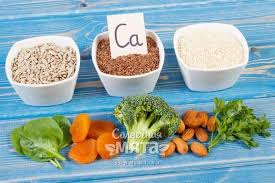 Kalcij V Organizme Soderzhitsya V Kalcij V Zhivyh Organizmah Vikipediya Kalcij Vikipediya Triksklad Ru Uyutnyj Trikotazh