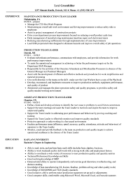 There are a lot of vacancies available in information technology field. Production Team Leader Resume Samples Velvet Jobs