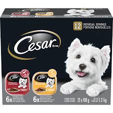 Commercial Little Ceasar Dog Cesar Dog Food Commercial 2018 Music 2025