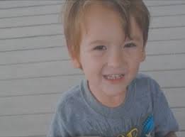 Riverview 4-Year-Old Mauled to Death by 2 Dogs