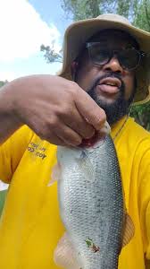 Fishing below Beltzville Dam in Pennsylvania
